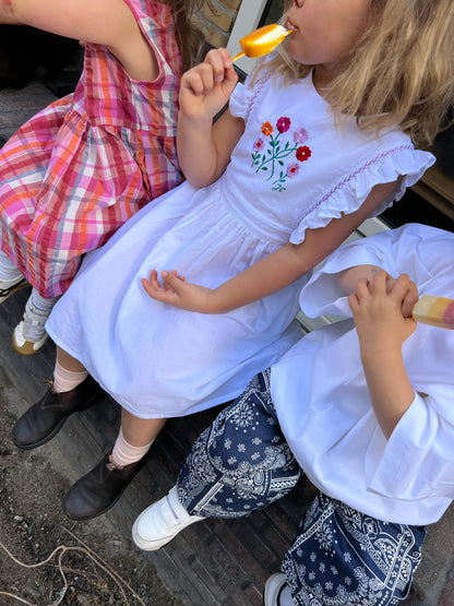 Damson dress